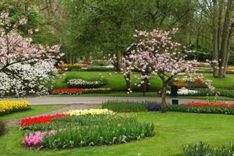 Flower Garden Stock Photo HD Public Domain Pictures