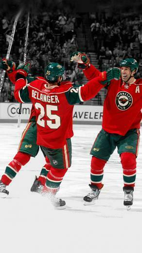 Minnesota Wild Hockey Team