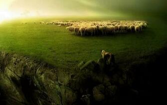 Sheep Wallpaper