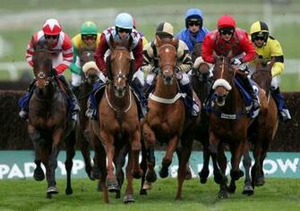 Horse Racing Wallpaper High Quality