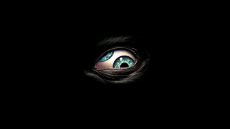 Eyes Wallpaper