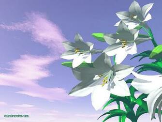 Easter White Flowers Plant Spring Flower 3d Wallpaper
