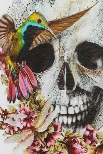 Alexander Mcqueen Skull Wallpaper