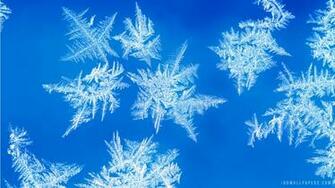 Ice Crystals HD Wallpaper IHD