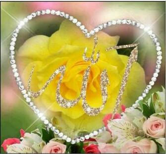 Beautiful Allah Quotes