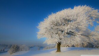 Beautiful Winter Landscape Wallpaper