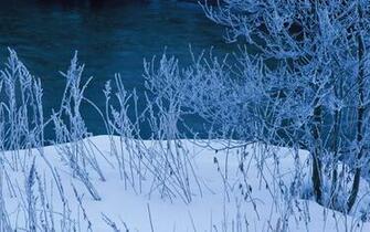Winter Snow Photos Scenes Wallpaper No
