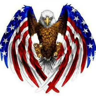 Flag Eagle Nerdy American