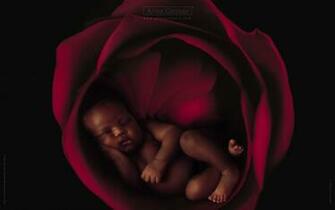 Anne Geddes Wallpaper Kids Babys Desktop