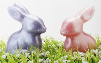 Eggs Wallpaper Desktop