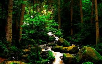 Rocky Stream Best Landscape Wallpaper