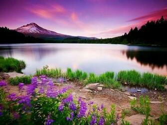 Beautiful Wallpaper HD