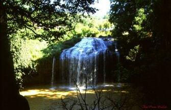Scenery Pictures Area