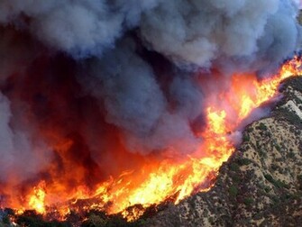 Forest Fire Wallpaper Me