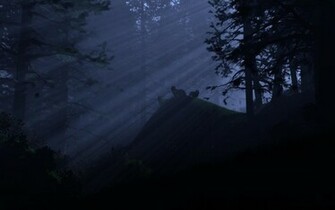 Night Watch Wallpaper HD
