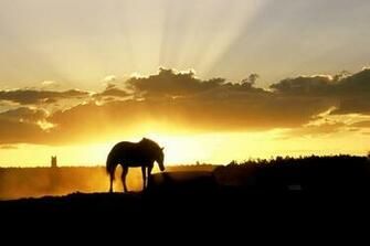 Horse Farm Wallpaper Sunset Horses