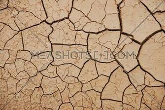 Dry Background Meashots