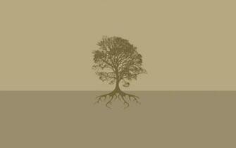 Roots Of Fall HD Wallpaper Gallery