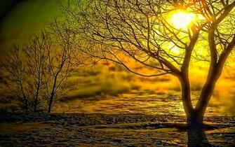 Fine HD Wallpaper