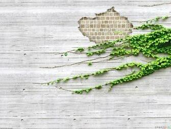 Wall Covered With Ivy Wallpaper Open Walls