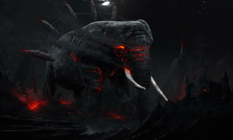 Elephant 4k Amazing Rare Gallery HD Wallpaper