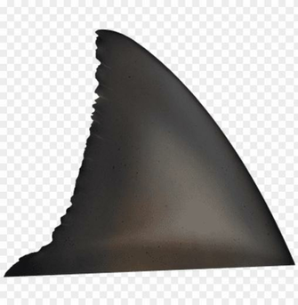 Shark Fin Png Clip Art Transparent Background