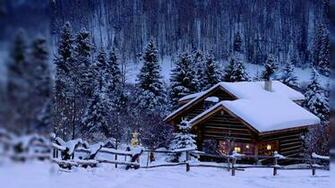 Winter Nature Wallpaper Desktop Crock Flowers In