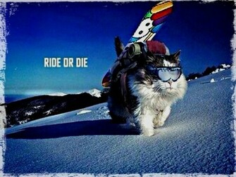 Snowboarding Wallpaper