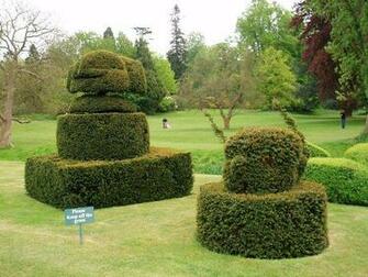 Tudor Gardens Photo
