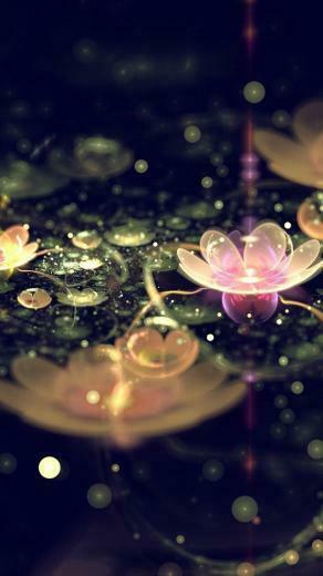 Water Lilies iPhone 5s Wallpaper iPad