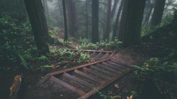 Chill Wallpaper Top Background