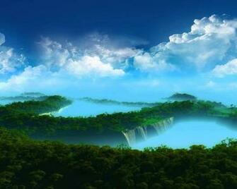 Amazing Forest Wallpaper