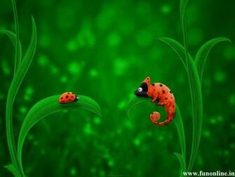 Chameleon Wallpaper Color Changeable Chameleons
