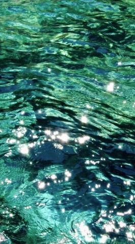 Pretty Water iPhone Wallpaper Aesthetic Dark Green