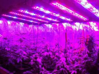 Led Lights For Homes