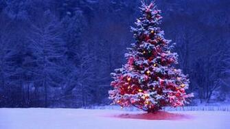 Christmas Tree Desktop Pc And Mac Wallpaper
