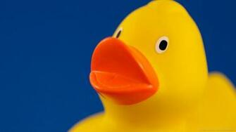 Rubber Ducky Wallpaper Gallery