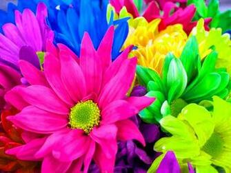 All 4u HD Wallpaper Rainbow Flowers
