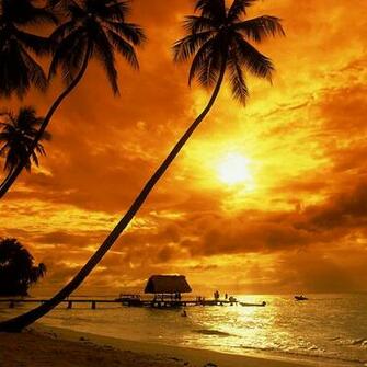 Tropical Sunset Wallpaper Beach