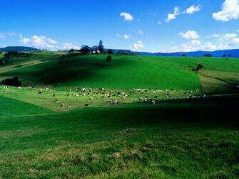 Desktop Nature Wallpaper