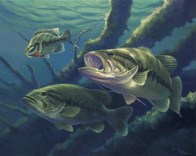 fishing planet largemouth bass louisiana