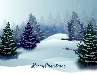 Christmas Snow Picture Wallpaper