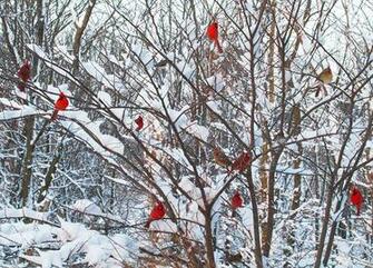 Photo Copyright Michael And Diane Porter