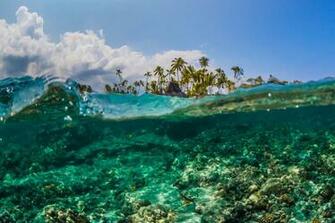 Island Hawaii High Quality And Resolution Wallpaper