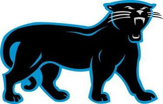 Carolina Panthers Wallpaper