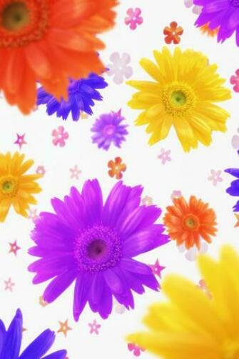 Daisy Good Background iPhone HD Wallpaper