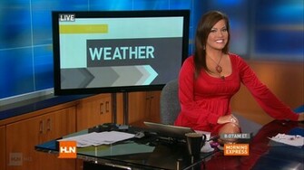 Robin Meade Image Thecelebritypix