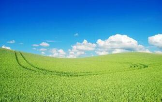 Wallpaper Seti