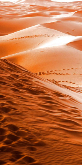 Your Favorite iPhone Now In The Desert Wallpaper