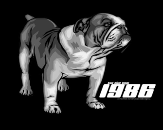 Bad Blue Boys Bulldog By Shandor Js